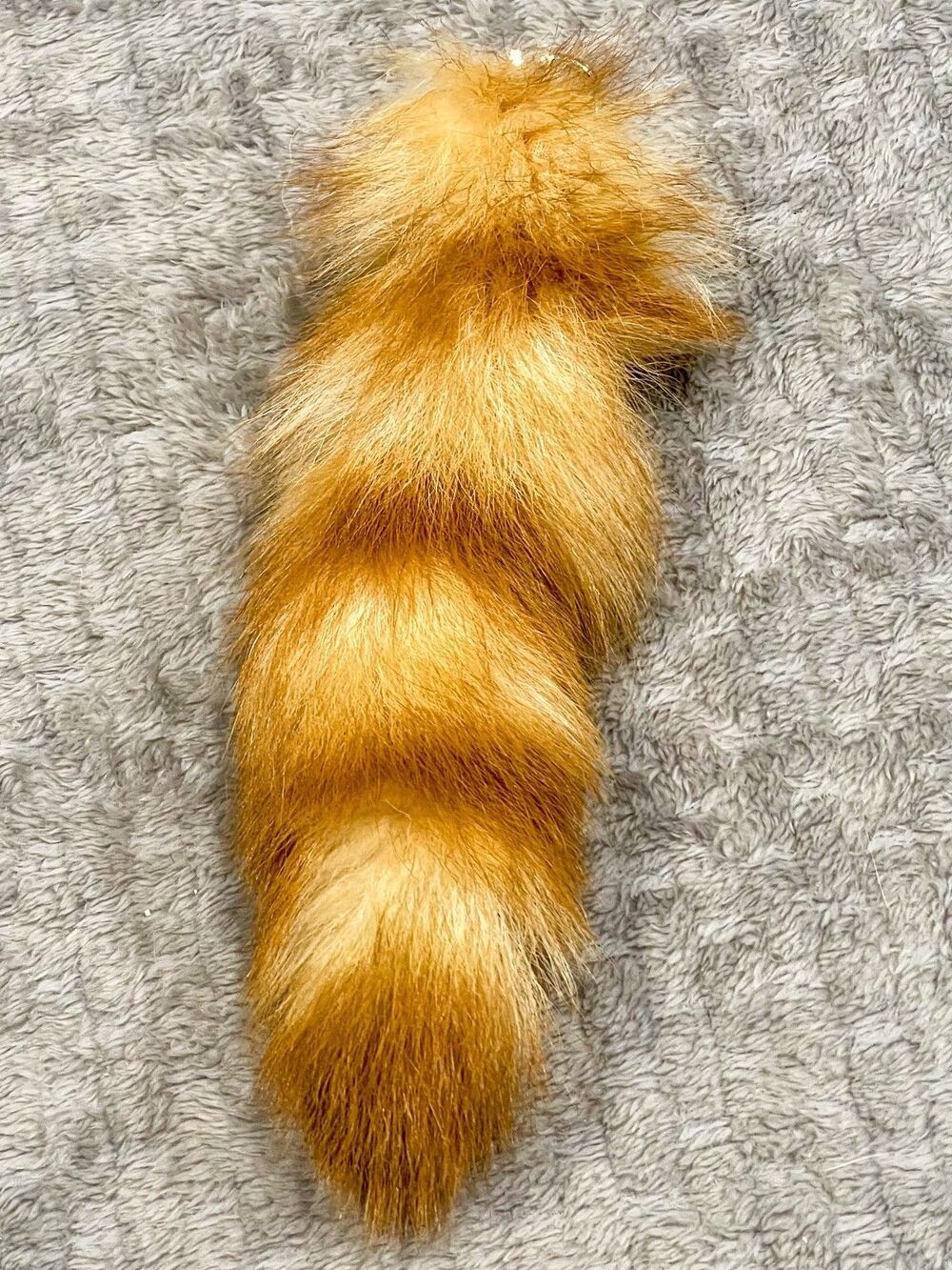Genuine Raccoon Tail Keychain Gold Red Real Fur Taxidermy Oddities Curios Charm